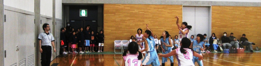 img20190205103009818871.jpg